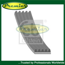 Premier Alternator Belt Fits