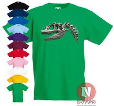 Dinosaur rex skeleton bones - dinosaur,
