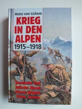 Krieg in den Alpen, 1915-1918
