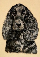 COCKER SPANIEL CHARMING DOG GREETINGS NOTE CARD BEAUTIFUL BLACK HEAD STUDY