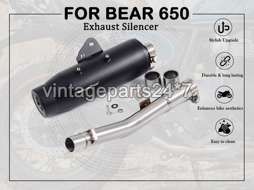Fits for royal - fits, bear