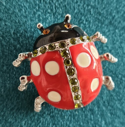 Ladybird brooch with - ladybird,