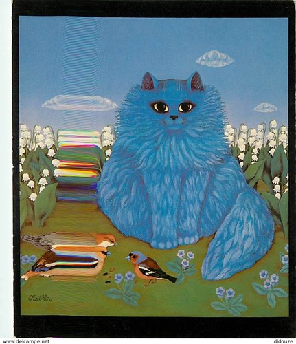 Postcard animals cats - postcard,