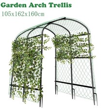 Garden Trellis Tall Cucumber
