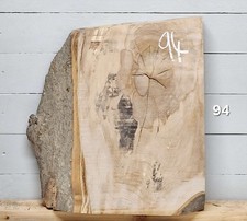 Live Edge Beech Timber - 550mm