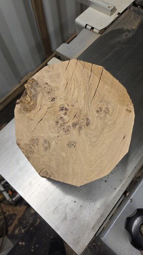 Pippy english oak bowl - pippy,