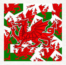 Welsh Dragon layer look -