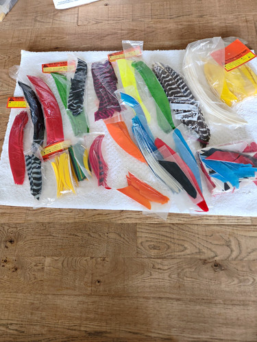 Arrows turkey feathers - arrows, full