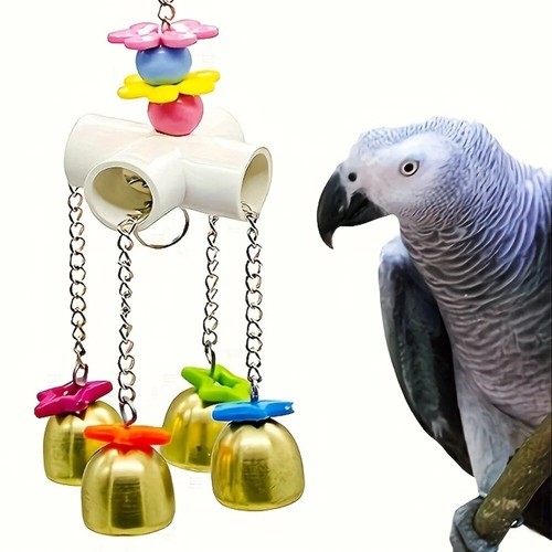Large parrot chewing - chewing, bird