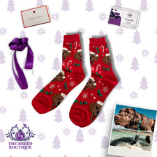 CHOCOLATE LABRADOR CHRISTMAS SOCKS – RED FESTIVE DOG GIFT UK 5–11 US6–12 EU38–46