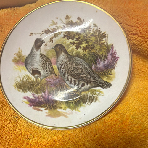 Round decorative collector - round,