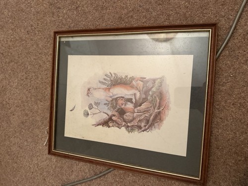 Weasel picture - weasel,