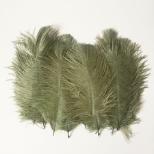 Ostrich Feathers Various