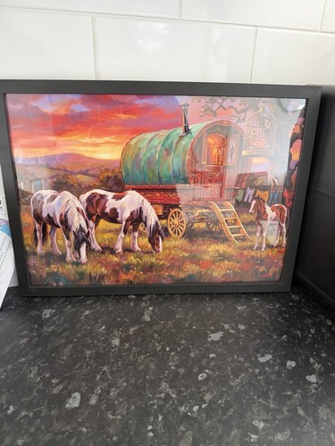 Large framed gypsy - large, horse