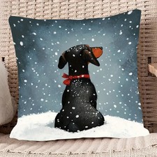 Dachshund Dog in Snow with Red