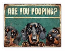 Funny Dog " Are You Pooping "