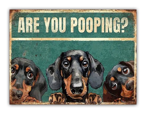 Funny dog are - dog, "