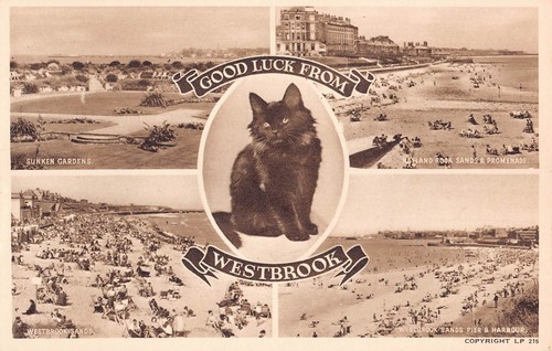 Postcard kent thanet - kent,