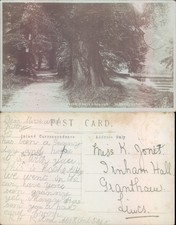 Abbey grounds pathway