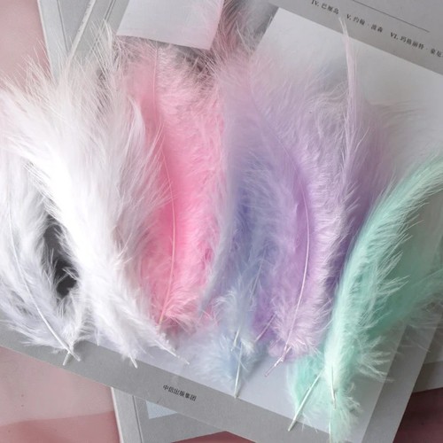 50pcs natural plumes - natural,