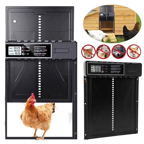Automatic chicken coop - automatic,