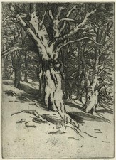 Gertrude Keeling - Pencil