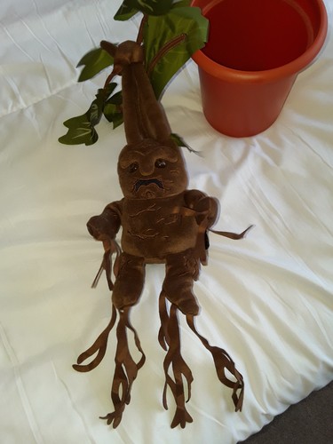Harry potter mandrake - potter, in