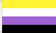 NON BINARY FLAG 5' x 3'