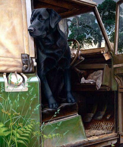 The driving seat nigel - the, by