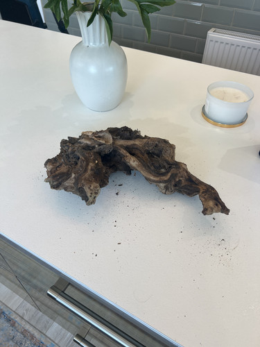Large aquarium driftwood - aquarium,