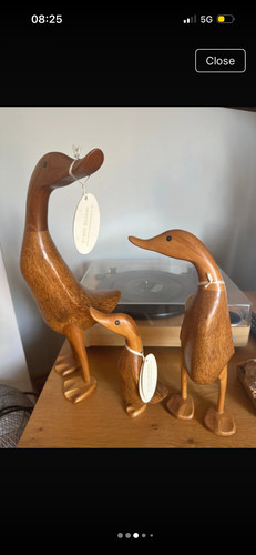 Dcuk ducks small medium - ducks,