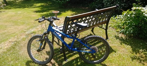 Bike ridgeback mx20 child - bike,