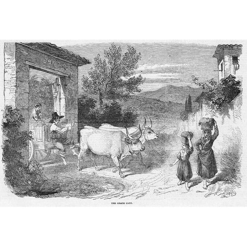 Italy the grape cart tuscany - cart,