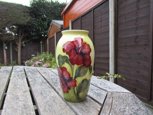 Moorcroft pottery hibiscus - pottery,