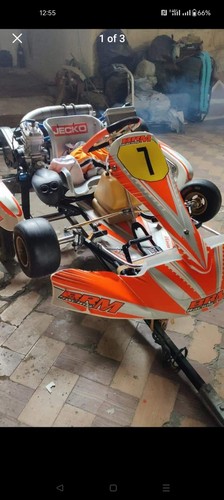 Kart petrol adult - go,