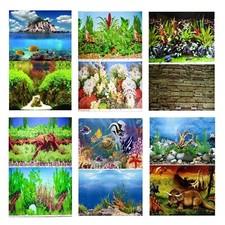 Aquarium Fish Tank Background