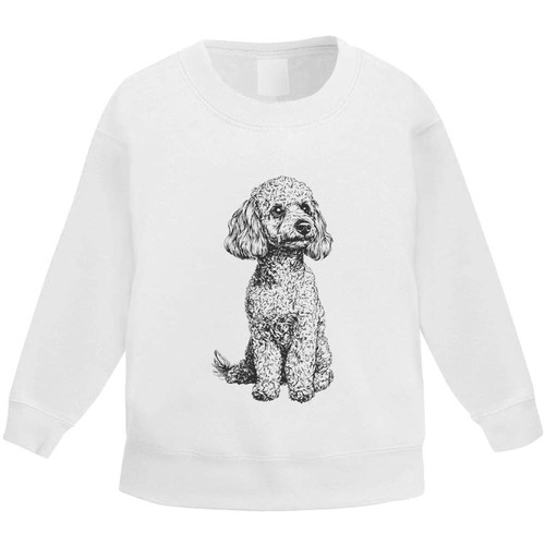 Miniature poodle sitting - poodle, sitting'