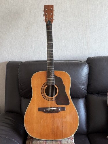Shaftesbury rodeo acoustic - shaftesbury,