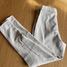 Caldene Equestrian Horse