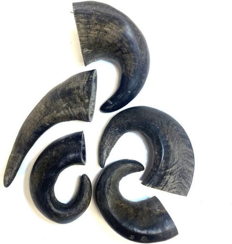 Small buffalo horns - x, 3