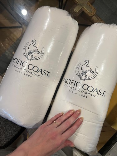 Pacific coast pillows - coast, standard