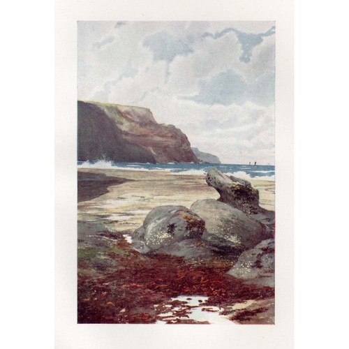 Boulby cliffs yorkshire - cliffs,