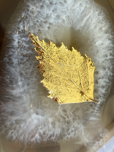 Gold plated leaf brooch and - plated,