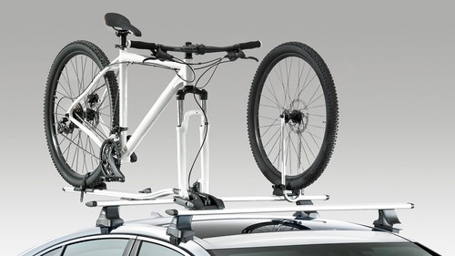 Genuine jaguar pace f - genuine, e