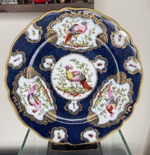 EDME SAMSON Blue Scale Ground Exotic Birds Insects Plate Worcester Chelsea Style