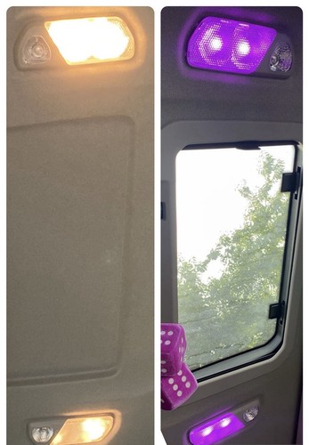 Scania next gen interior - gen, pink
