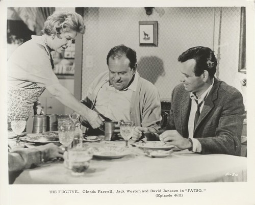 The fugitive david janssen - fugitive,