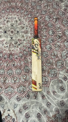 Cricket bat - cricket,