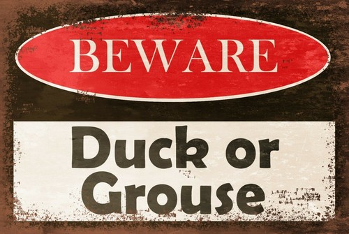 Low ceiling warning duck - ceiling,