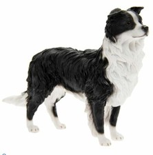 Border Collie Sheepdog